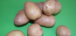 De hele aardappel The entire potato