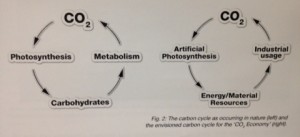 Old and new carbon dioxide cycles
