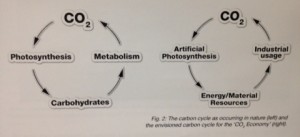 Nieuwe CO2-cyclus Old and new carbon dioxide cycles