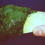 Evodos algae paste Evodos algae paste