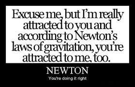 Newton's laws in the social sciences