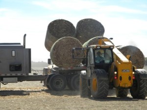 Loading bales