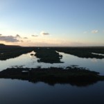 Salt marshes