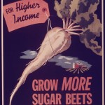 Grow_More_Sugar_Beets