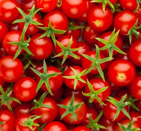 Tomaten