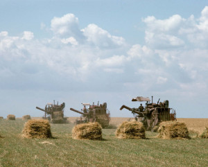 Agriculture in the Ukraine