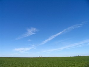 Large scale soy plantation