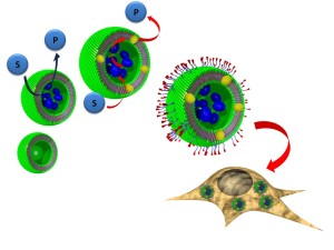 Synbio