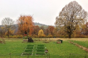 Biochar test field in Tübingen