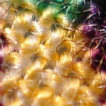 Rayon, one of the oldest biobased fibres