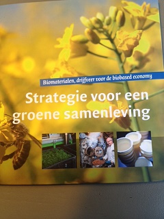 Strategie voor een groene samenleving