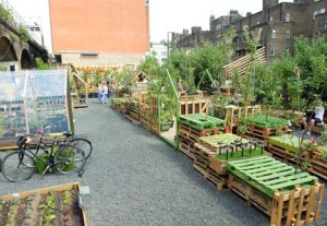 Union Street Urban Orchard