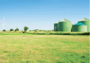 Grass biorefinery