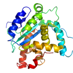 Protein structure