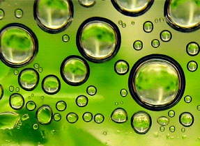 Ecover will produce its surfactants only from algae.