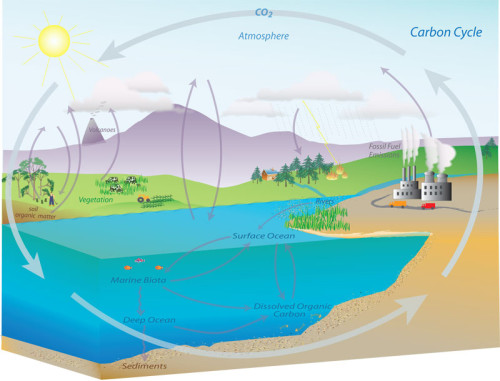 Bron: NOAA