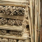 Wij kunnen in principe CO2 vastleggen in snelgroeiende biomassa als bamboe (als we het benodigde water hebben); maar waar moeten we al dat materiaal opslaan dat we zo maken?