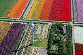 Wind turbine in Holland