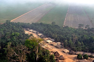 Addax Plantation Sierra Leone