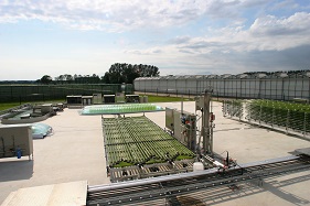 Algae Parc Wageningen UR