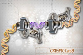 CRISPR