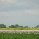 Groningen platteland