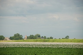 Groningen platteland