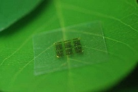 Green computer chip
