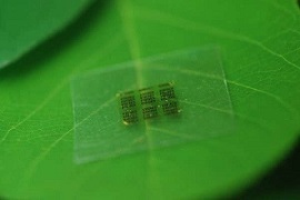 Groene computerchip