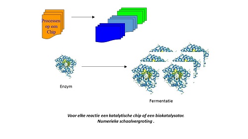 Numerieke schaalvergroting