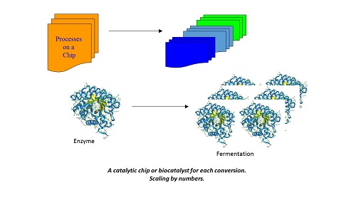 Scaling by numbers