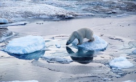 Klimaatverandering