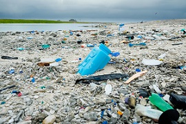 Plastics on a beach