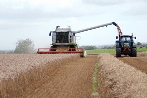 Restproducten uit de landbouw photo BioVale