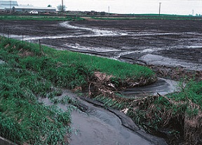 Polluted runoff