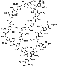 Lignin structure