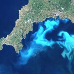 Algal bloom south of Cornwall caused by nitrate and phosphate leaching, 24 July 1999