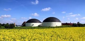 Small scale biogas