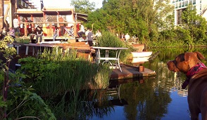 De Ceuvel