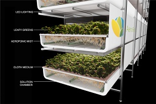AeroFarms vertical farming