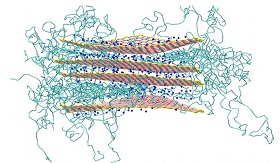 Clay nanocomposites