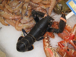 Chitosan is produced among others from shrimp and crab shells,