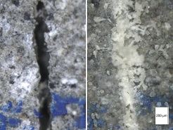 Autogenous repair