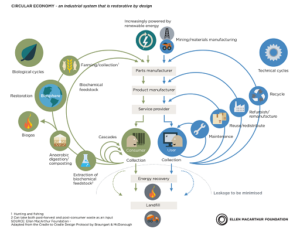 Circular bioeconomy circular economy 