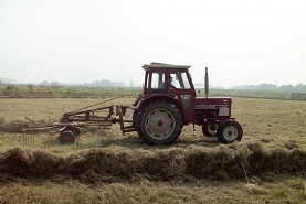 agriculture protein demand