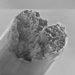 Cellulose microfibre. Photo: Nitesh Mittal.