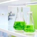 Bio-based solvents on the rise