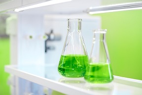 bio-based solvents