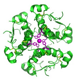 Insuline hexameer