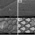 Microscopische structuren van hagedissenhuid (links) en imitaties daarvan, gemaakt met lasertechnologie (rechts). Inzet: microkuiltjes binnen de haarvaten.